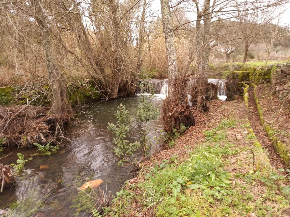Sardoal Porto D'Abrigo - Alojamento Local מראה חיצוני תמונה